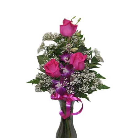 Pretty Pink and purple