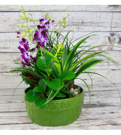 Lush Green Ceramic Garden
