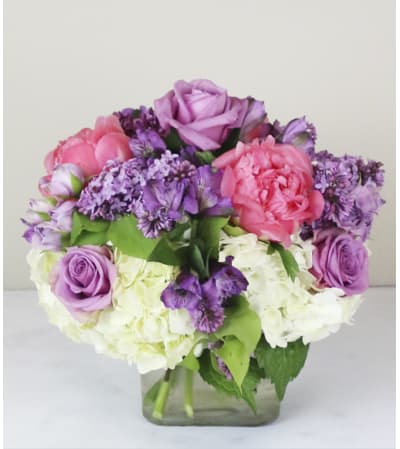 Lush Lavender