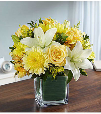 Healing Tears™ Yellow and White