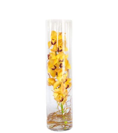 Orchid Cylinder
