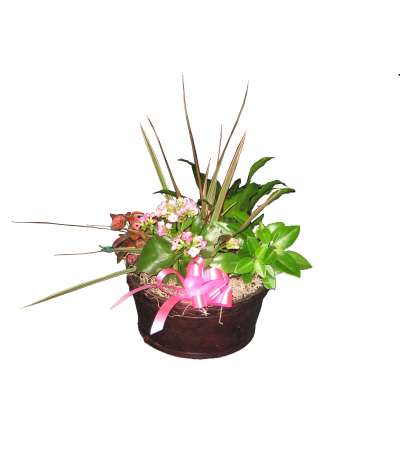 Green Planter Basket