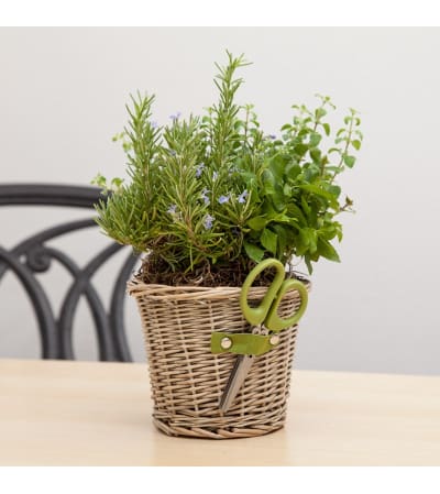 Mom's Herb Planter with Scissors