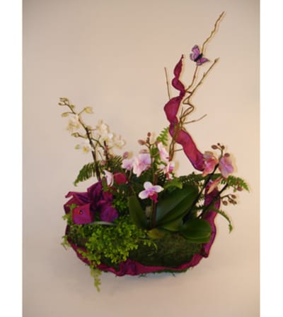 Mini Orchids in a Basket (Large)