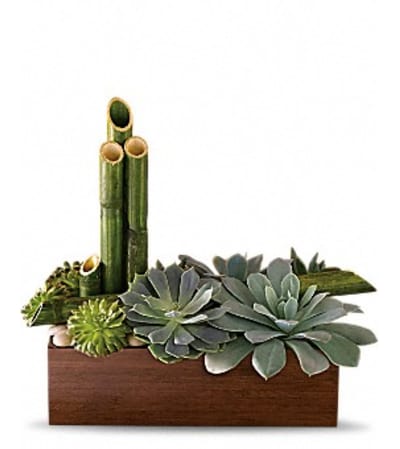 ARTISTIC ZEN GARDEN