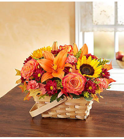 Fields of Europe™ for Fall Basket