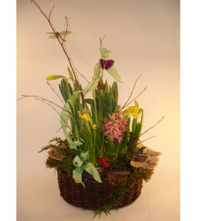 Large Assorted Spring Bulb Basket