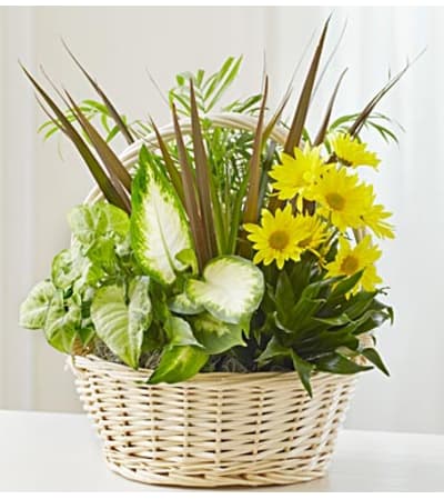With Love Dish Garden & Fresh Cut Flower