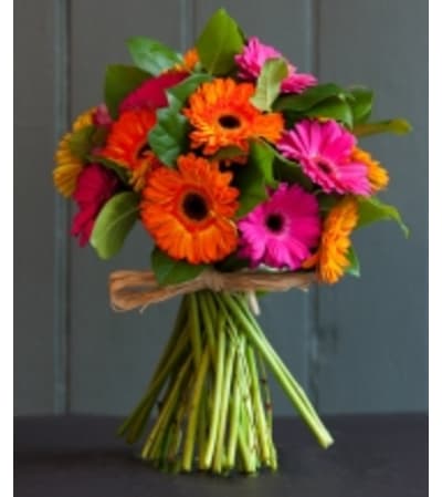 Colorful Gerbera Daisies Bokay