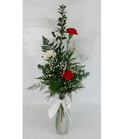 Red and White Carnation Vase