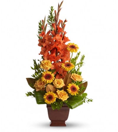 Teleflora's Sentimental Dreams