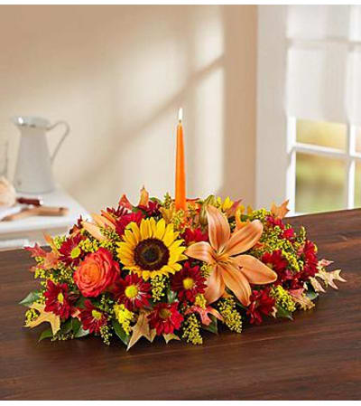 Fields of Europe™ for Fall Centerpiece
