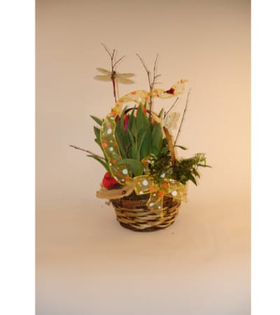 Basket of Tulips