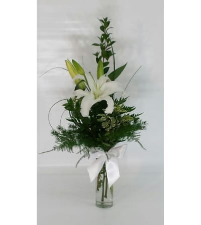 Elegant White Lily