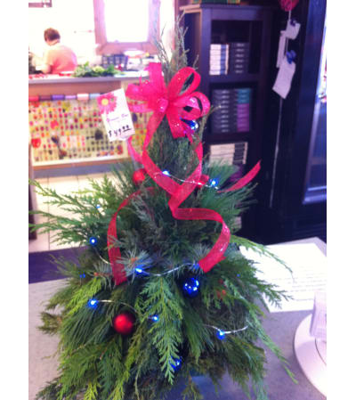 FRESH CHRISTMAS TREE