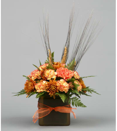 Warm Expressions of Fall