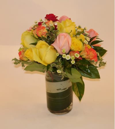 Rainbow Rose Delight