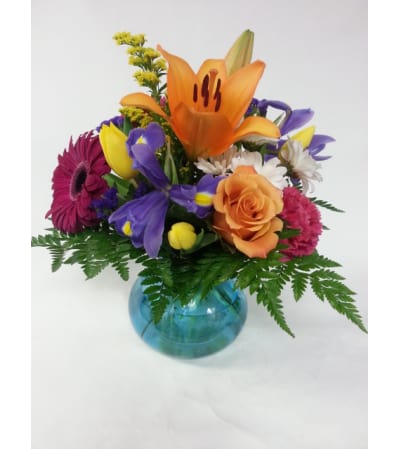 Rosy Posy