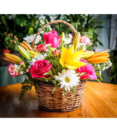 Dream Basket