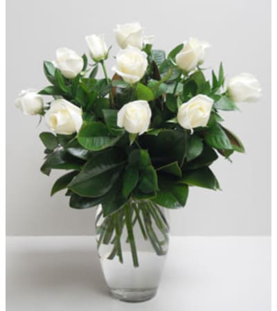 1 Dz.Elegant White Roses