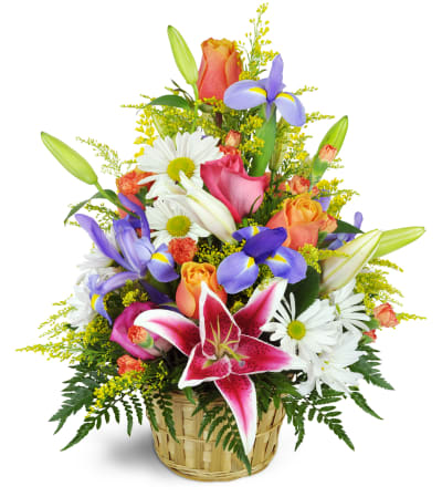 Stargazer Blessings Basket™