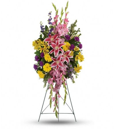Rainbow Of Remembrance Spray