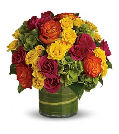 SUMMERTIME ROSES