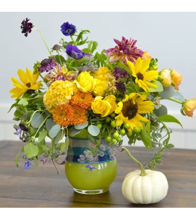 Sunflower Surprise
