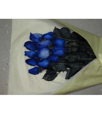 Enigmatic Blue Roses
