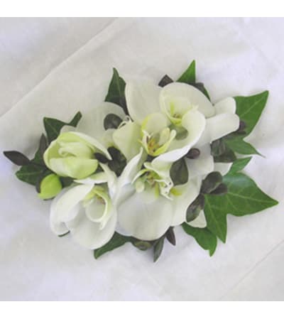 Orchid Simplicity Wristlet pick up only