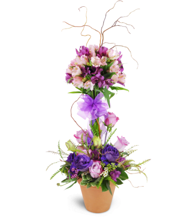Elegant Embrace™ Topiary