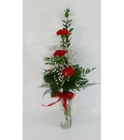 Red Carnation Vase