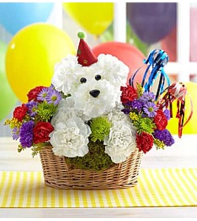 HAPPY BIRTHDAY DOG LOVER'S