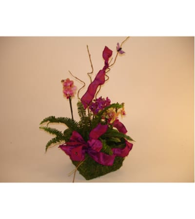 Mini Orchids in Basket (Large)