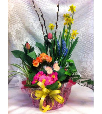 Spring Planter