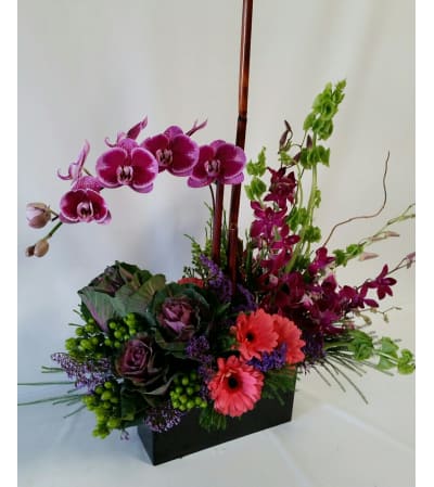 Paradise Orchids