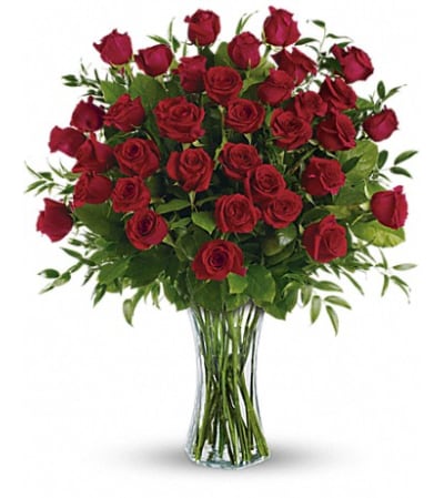 36 Breathtaking Roses