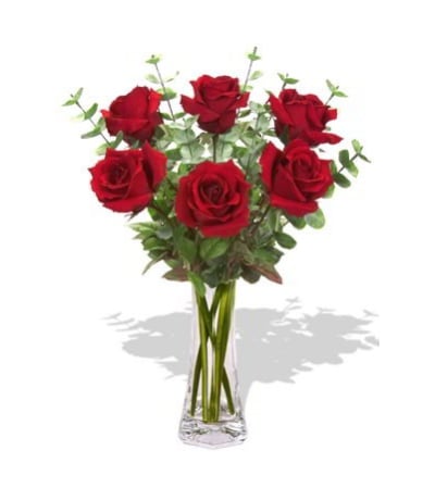 Exquisite Roses in Red