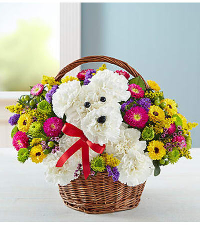 A DOG-able™ in a Basket