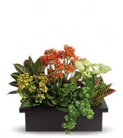 STYLISH PLANTER