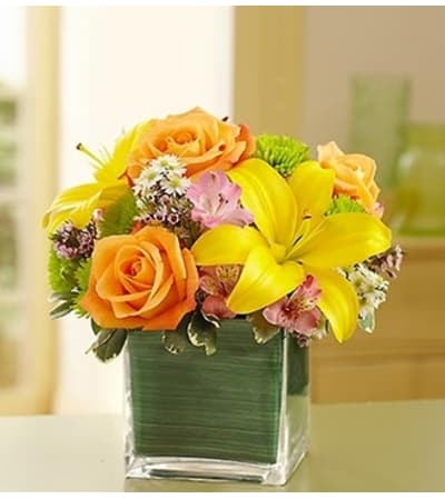 Fields of Europe™ in Cube Vase