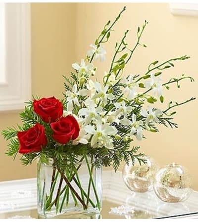 Colors of Christmas™ Contemporary