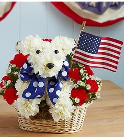 Yankee Doodle Doggie™