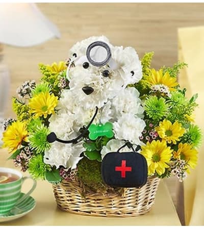 Doggie Howser M.D.™ 2015