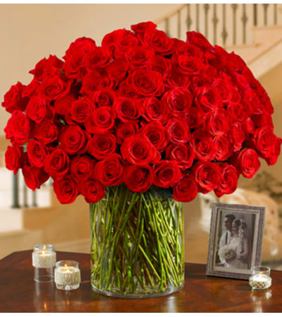 100 Premium Red Roses in a Vase