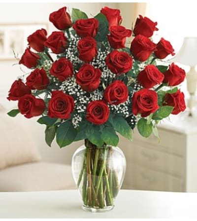 Rose Elegance- 24 red