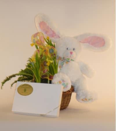 Large Easter Bunny Basket