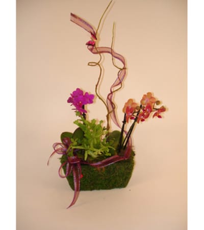 Mini Orchid Basket