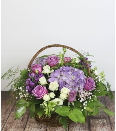 Shades of Purple Elegnace