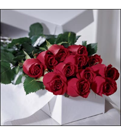 One Dozen Roses Boxed